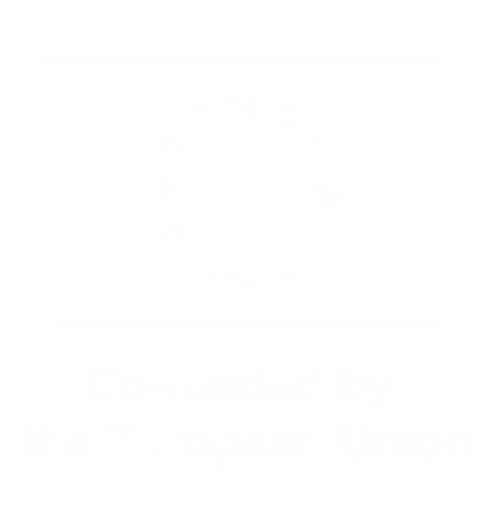 Co-funded by the European Union
