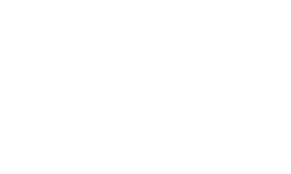 Pencil & Lion